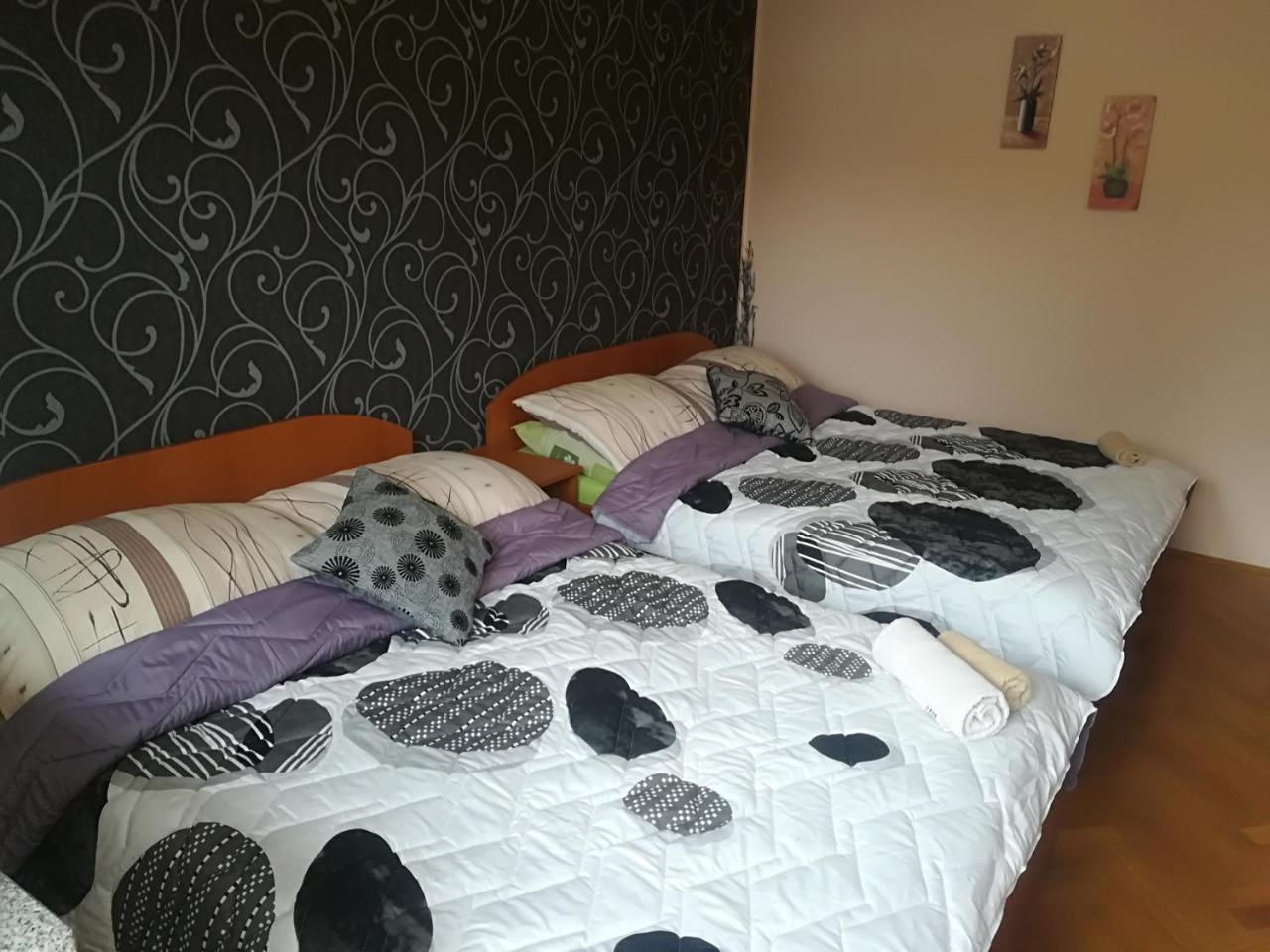 סלאבונסקי ברוד Guesthouse Sava מראה חיצוני תמונה
