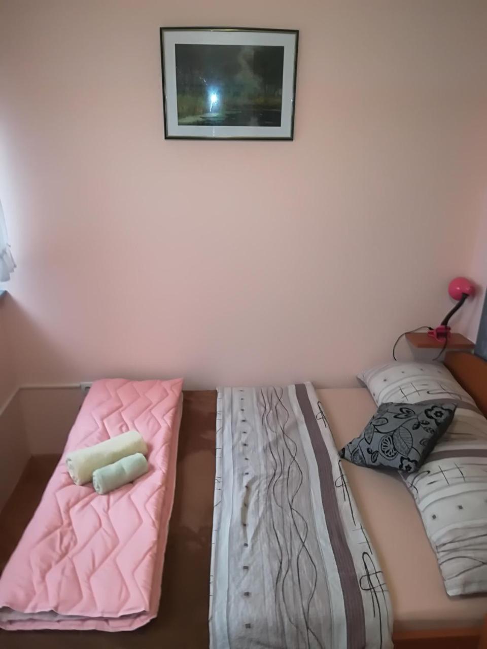 סלאבונסקי ברוד Guesthouse Sava מראה חיצוני תמונה
