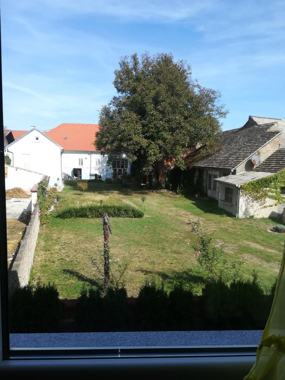 סלאבונסקי ברוד Guesthouse Sava מראה חיצוני תמונה